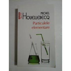   PARTICULELE  ELEMENTARE  -  Michel  HOUELLEBECQ
